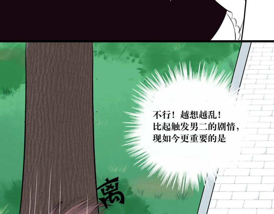 《转生成为女主后攻略对象却成了恶毒女配的后宫》11.再相逢 第14页
