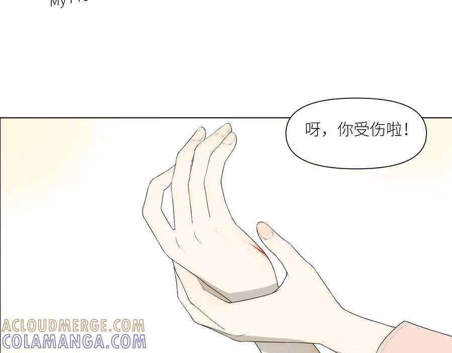 《那个在图书馆做梦的九月下午》果然人生处处都是陷阱 第40页