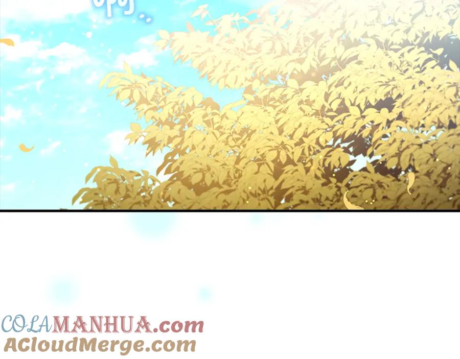 奶萌魔力小公主 第116话 卡西的成年仪式 第112页