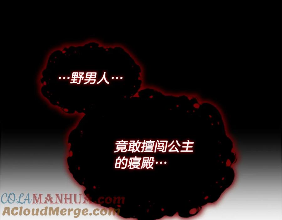 奶萌魔力小公主 第116话 卡西的成年仪式 第16页