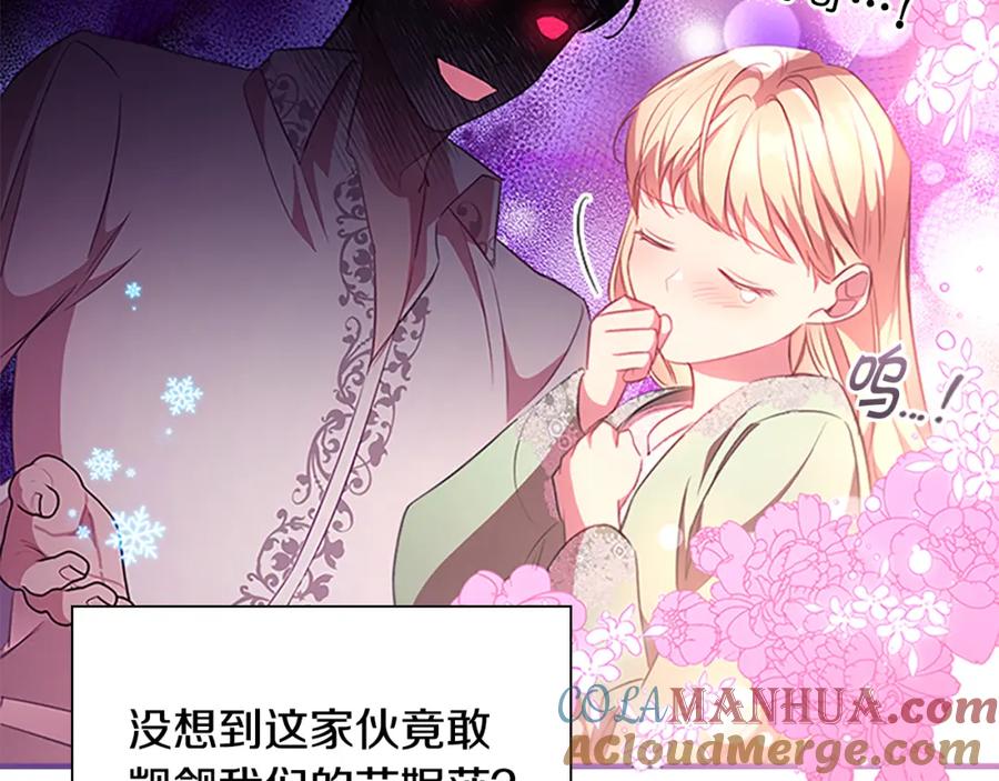 奶萌魔力小公主 第116话 卡西的成年仪式 第64页