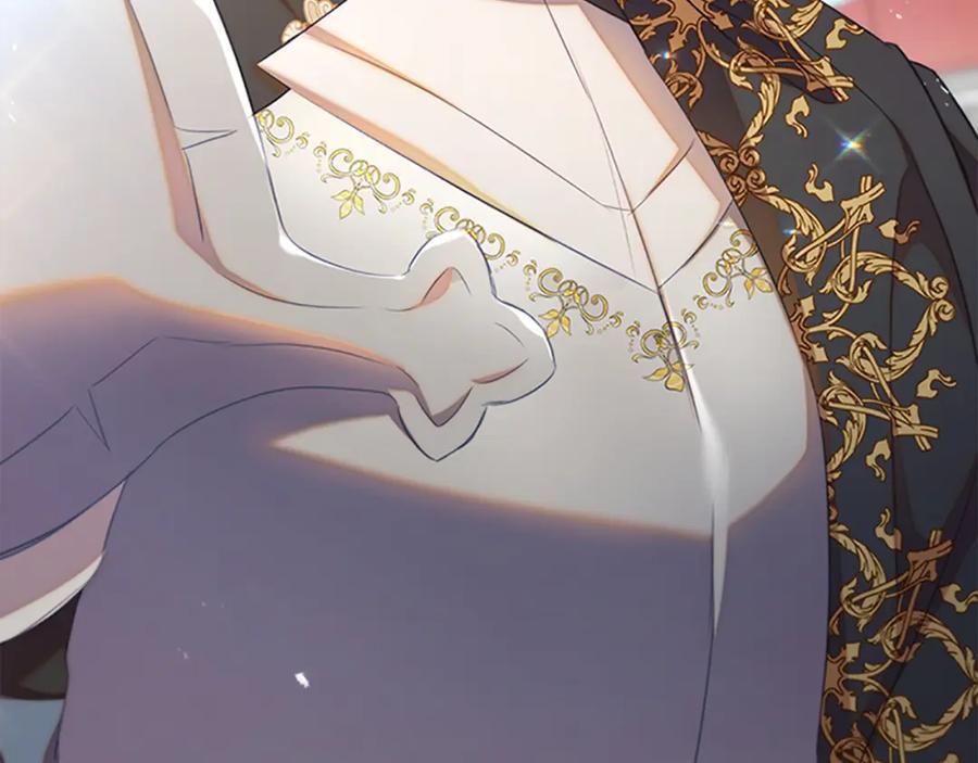 奶萌魔力小公主 第121话 魔法师刺客 第30页