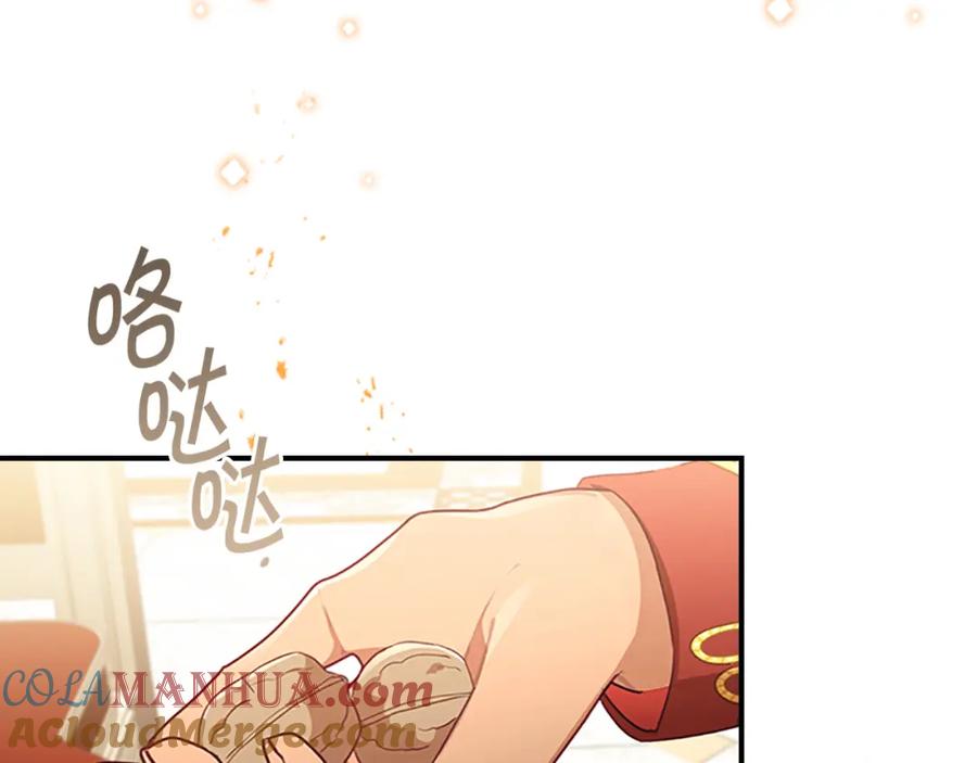 奶萌魔力小公主 第131话 兄妹相见！ 第165页