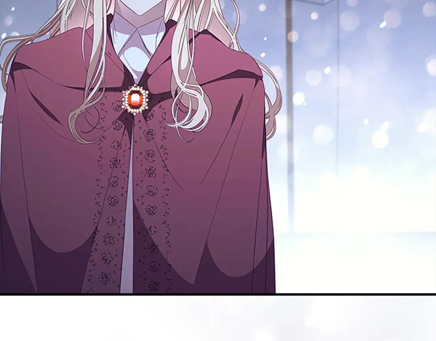 奶萌魔力小公主 第131话 兄妹相见！ 第126页