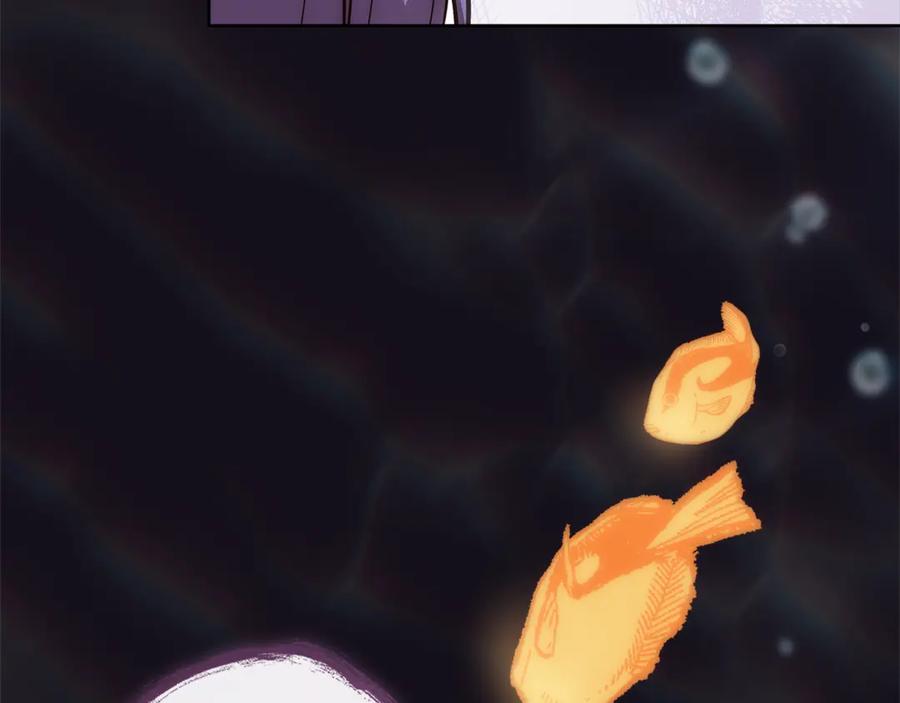 164.jpg