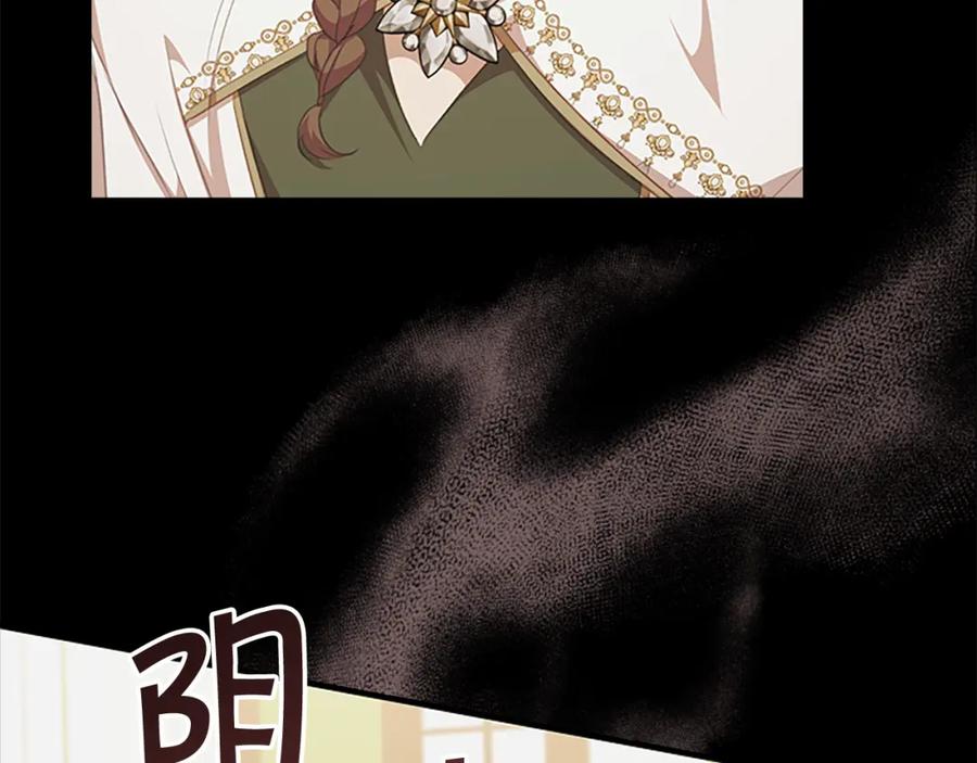 奶萌魔力小公主 第135话 生日快乐！ 第119页