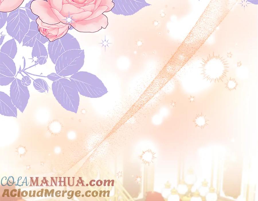奶萌魔力小公主 第135话 生日快乐！ 第17页