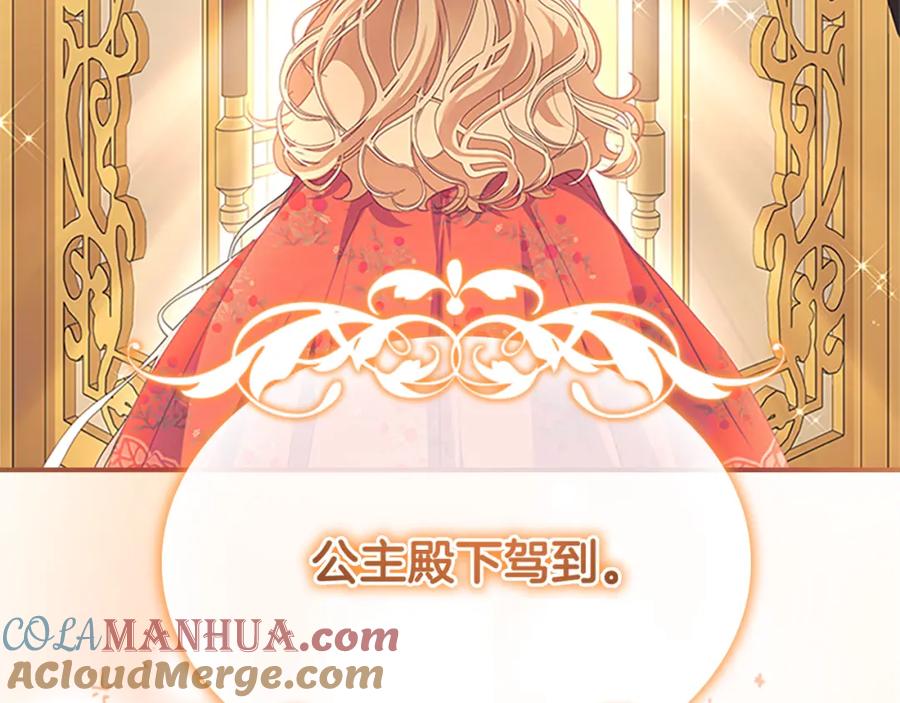 奶萌魔力小公主 第135话 生日快乐！ 第9页