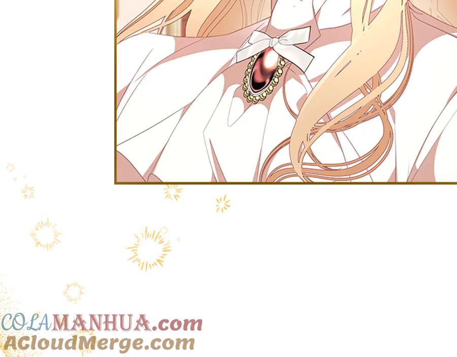 奶萌魔力小公主 第135话 生日快乐！ 第113页