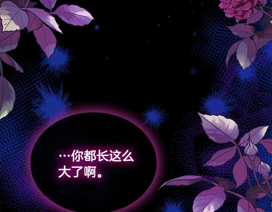 奶萌魔力小公主 第144话 再遇故人 第208页