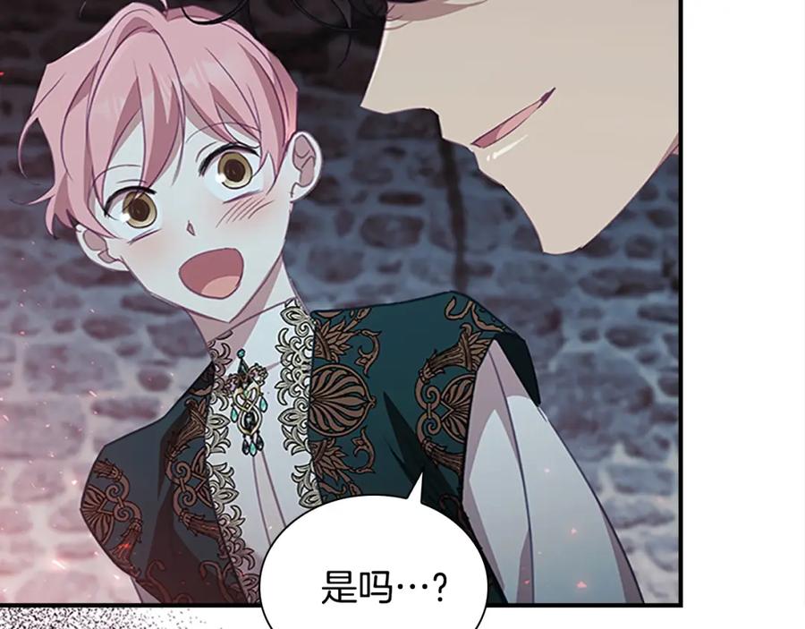 奶萌魔力小公主 第155话 前往加勒公国！ 第166页