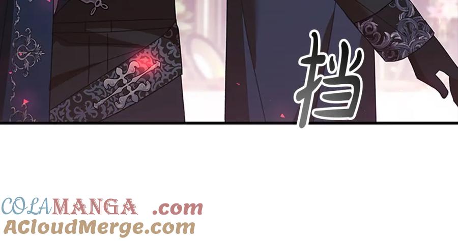 奶萌魔力小公主 第161话 不准欺负大法师！ 第113页
