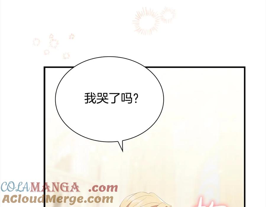 奶萌魔力小公主 第168话 最倒霉的小偷 第17页