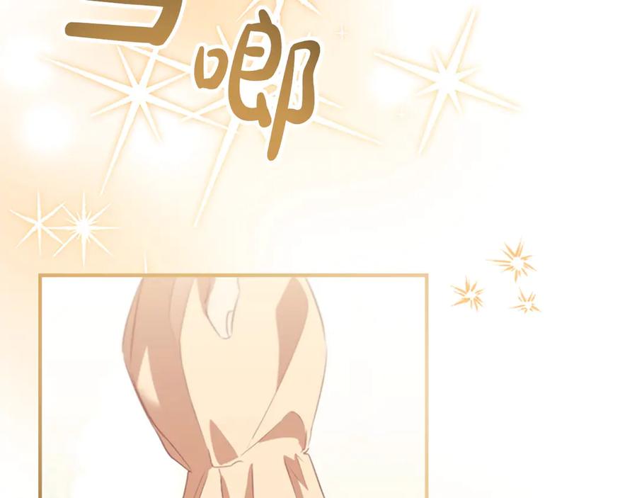 奶萌魔力小公主 第168话 最倒霉的小偷 第158页