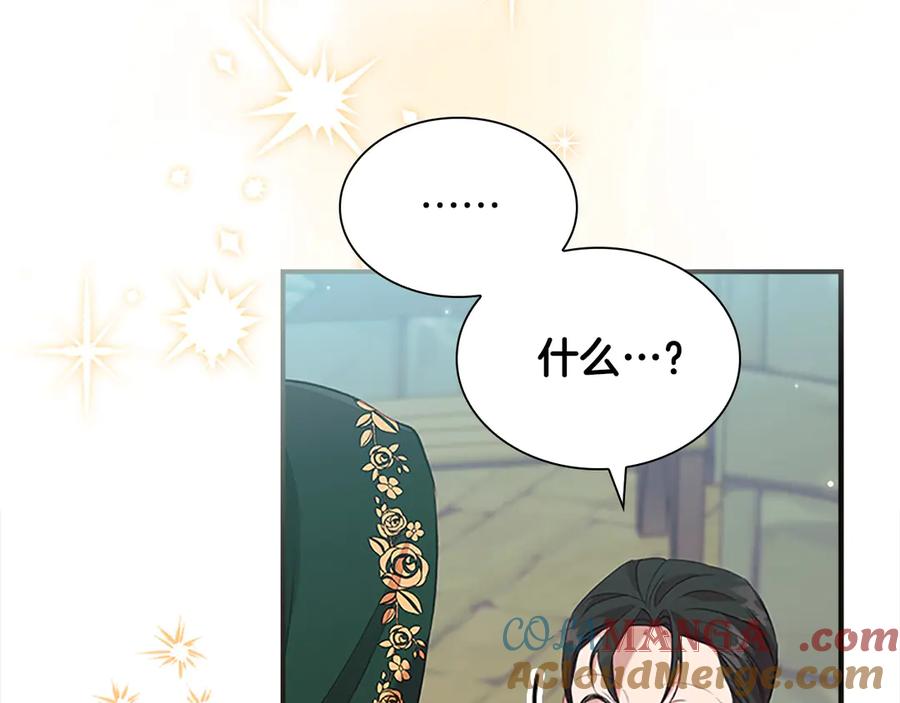 奶萌魔力小公主 第168话 最倒霉的小偷 第161页