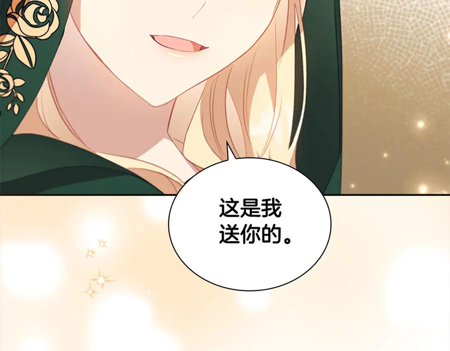 奶萌魔力小公主 第168话 最倒霉的小偷 第164页