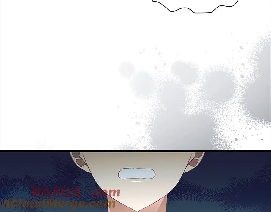 奶萌魔力小公主 第168话 最倒霉的小偷 第133页