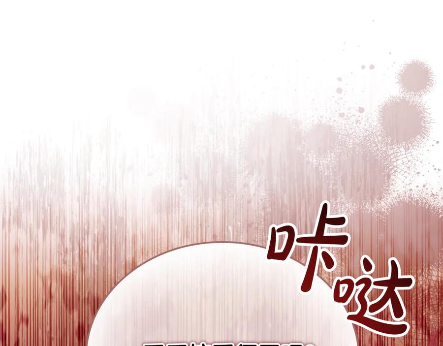 奶萌魔力小公主 第168话 最倒霉的小偷 第135页