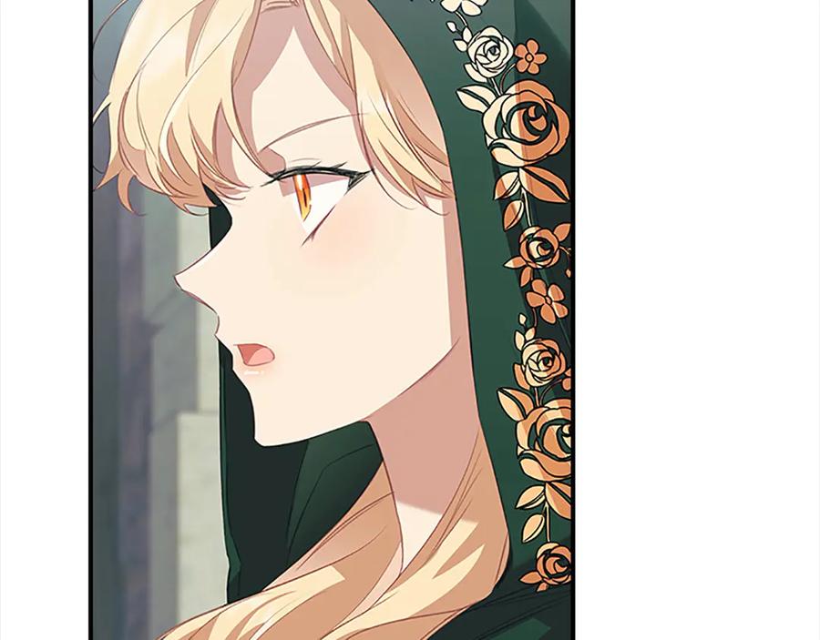 奶萌魔力小公主 第168话 最倒霉的小偷 第82页