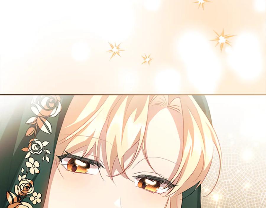 奶萌魔力小公主 第168话 最倒霉的小偷 第163页