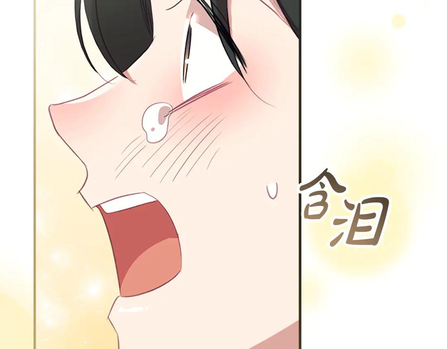 奶萌魔力小公主 第168话 最倒霉的小偷 第166页
