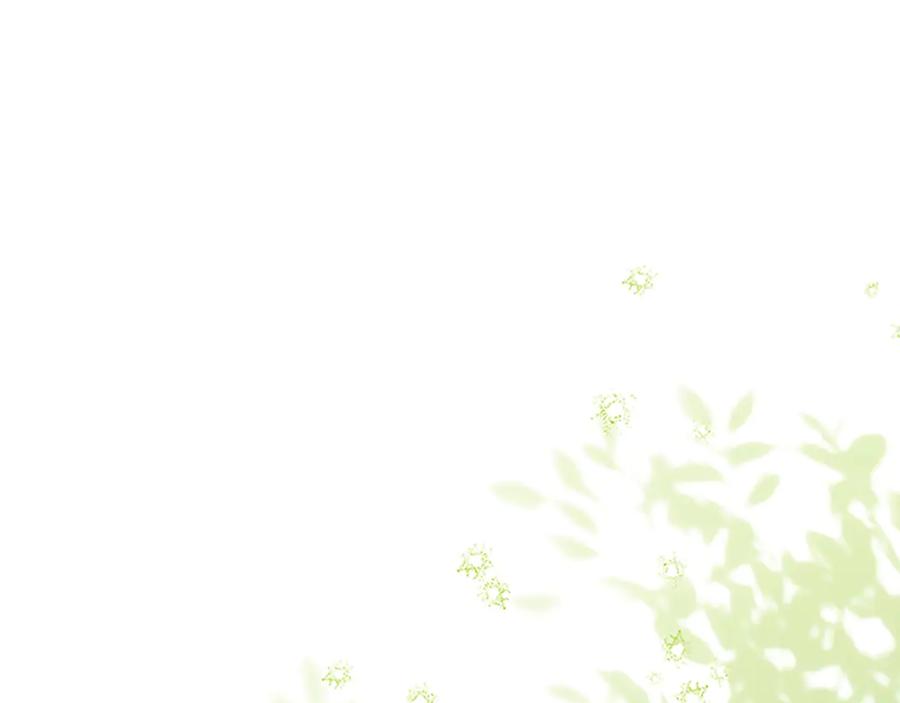 奶萌魔力小公主 番外17 最爱您了 第36页