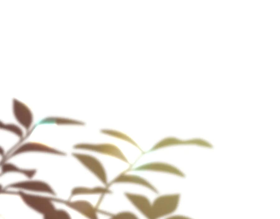 奶萌魔力小公主 番外27 无上荣幸 第60页