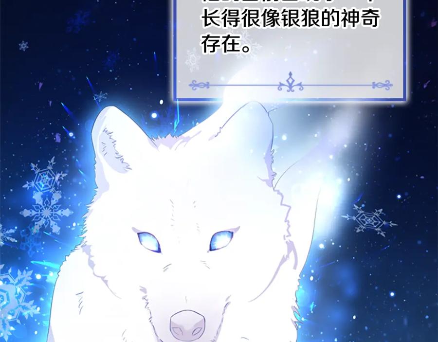 奶萌魔力小公主 第22话 质子身世的真相 第14页