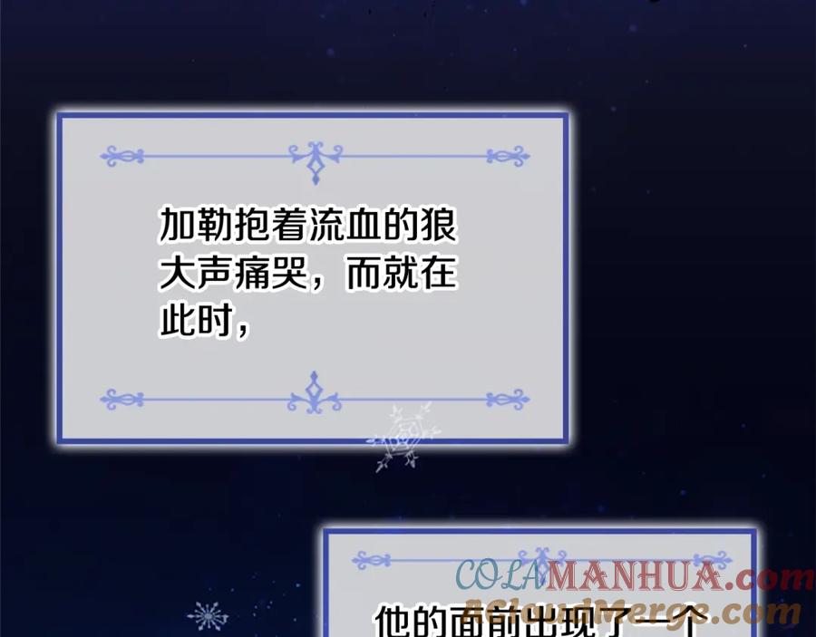 奶萌魔力小公主 第22话 质子身世的真相 第13页