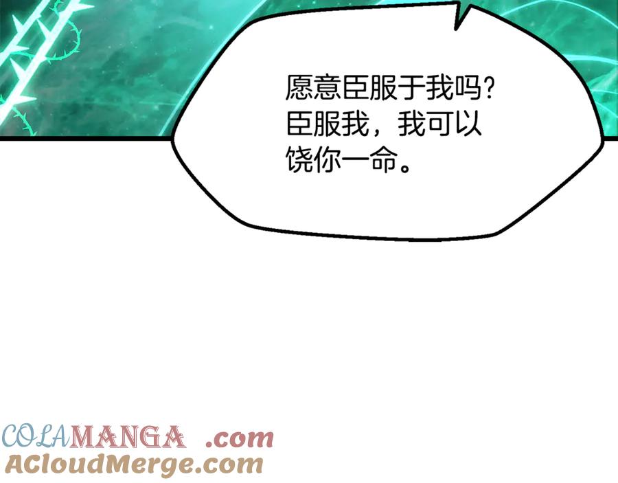233.jpg
