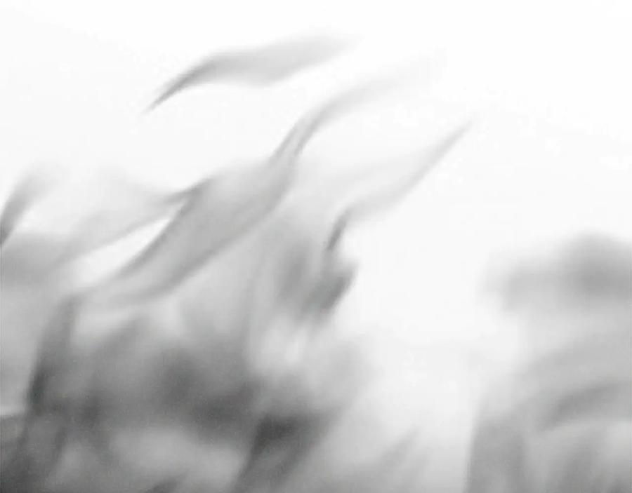 奶萌魔力小公主 第28话 一切都是为了艾妮莎 第134页