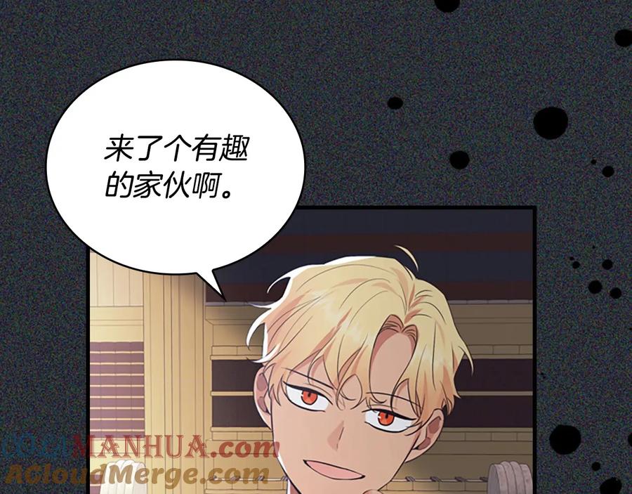 奶萌魔力小公主 第36话 真“公主抱”！ 第17页