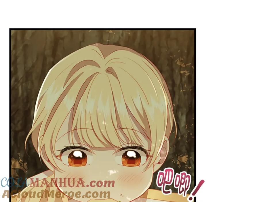 奶萌魔力小公主 第69话 小公主当皇帝！ 第5页