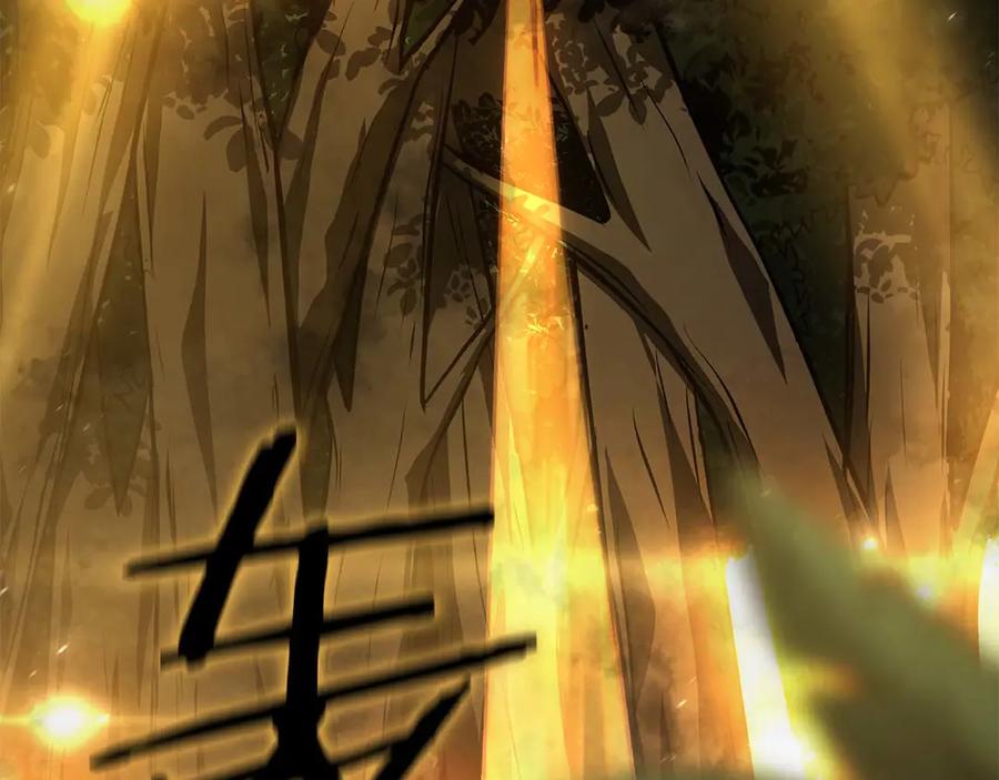 《重生后成为FFF级巫医》第46话 拥有的装备已经菠萝菠萝哒 第230页