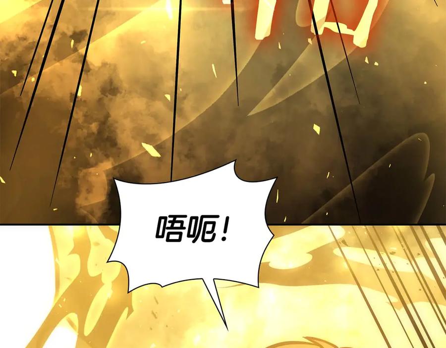 《重生后成为FFF级巫医》第46话 拥有的装备已经菠萝菠萝哒 第216页