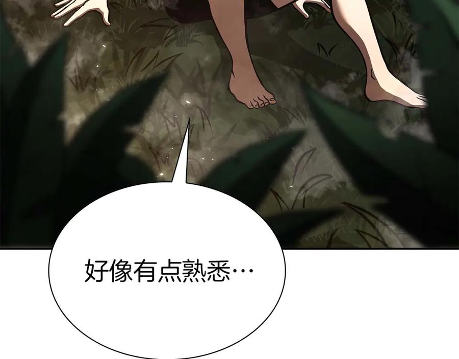 《重生后成为FFF级巫医》第46话 拥有的装备已经菠萝菠萝哒 第238页