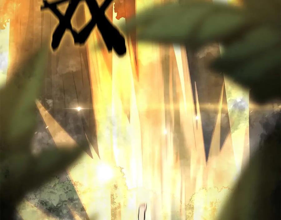 《重生后成为FFF级巫医》第46话 拥有的装备已经菠萝菠萝哒 第231页