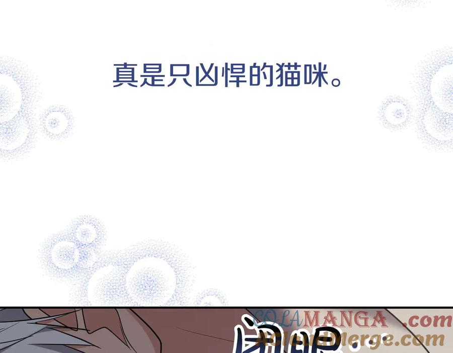 《小姐不愿意》第15话 凶悍猫咪 第169页