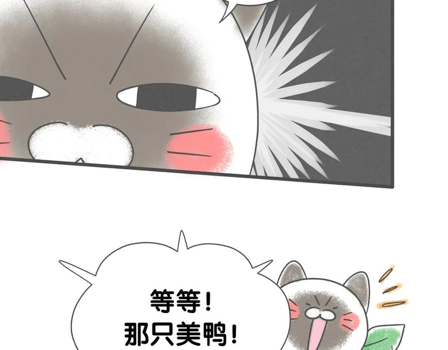哪里来的大宝贝 后记 第3页