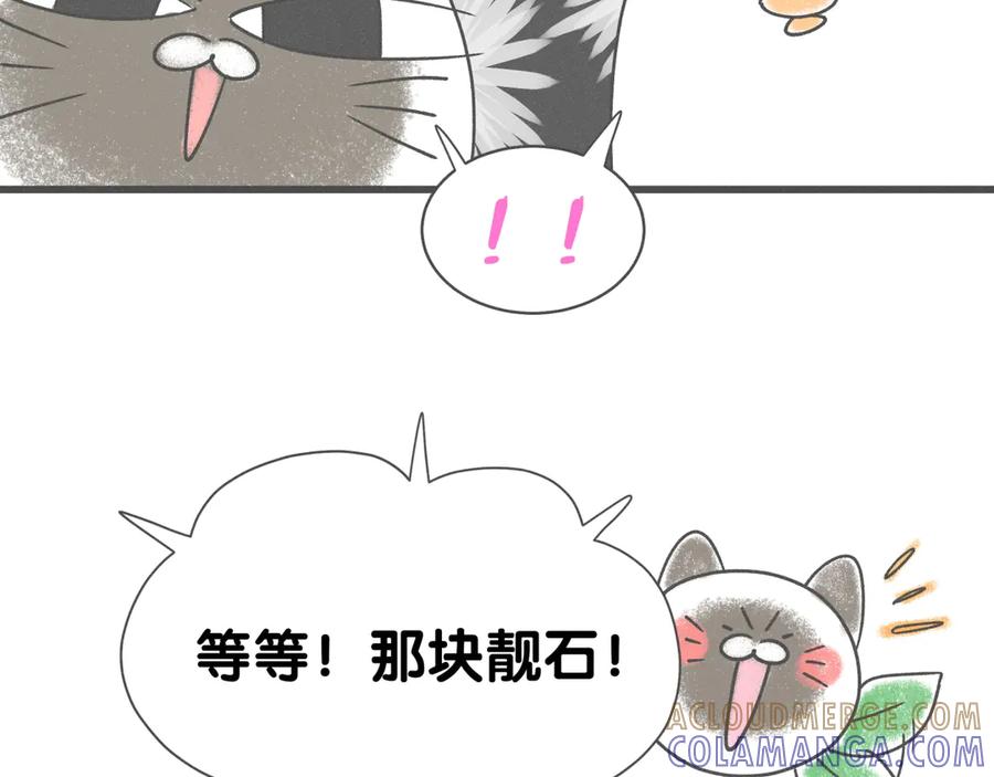 哪里来的大宝贝 后记 第13页