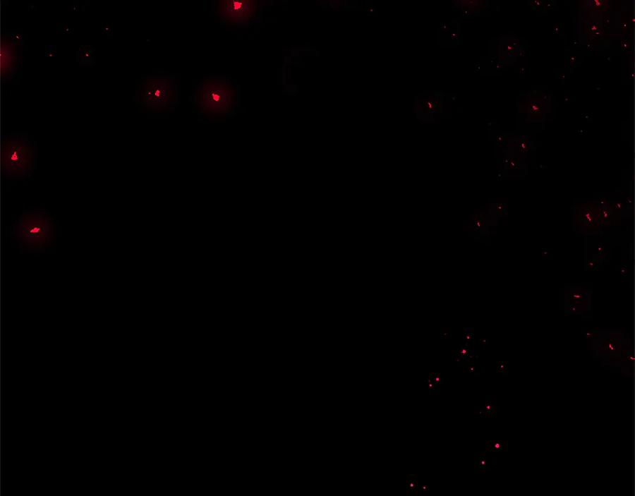 混世皇太子只对我恋爱脑 第39话 这次要一起 第102页