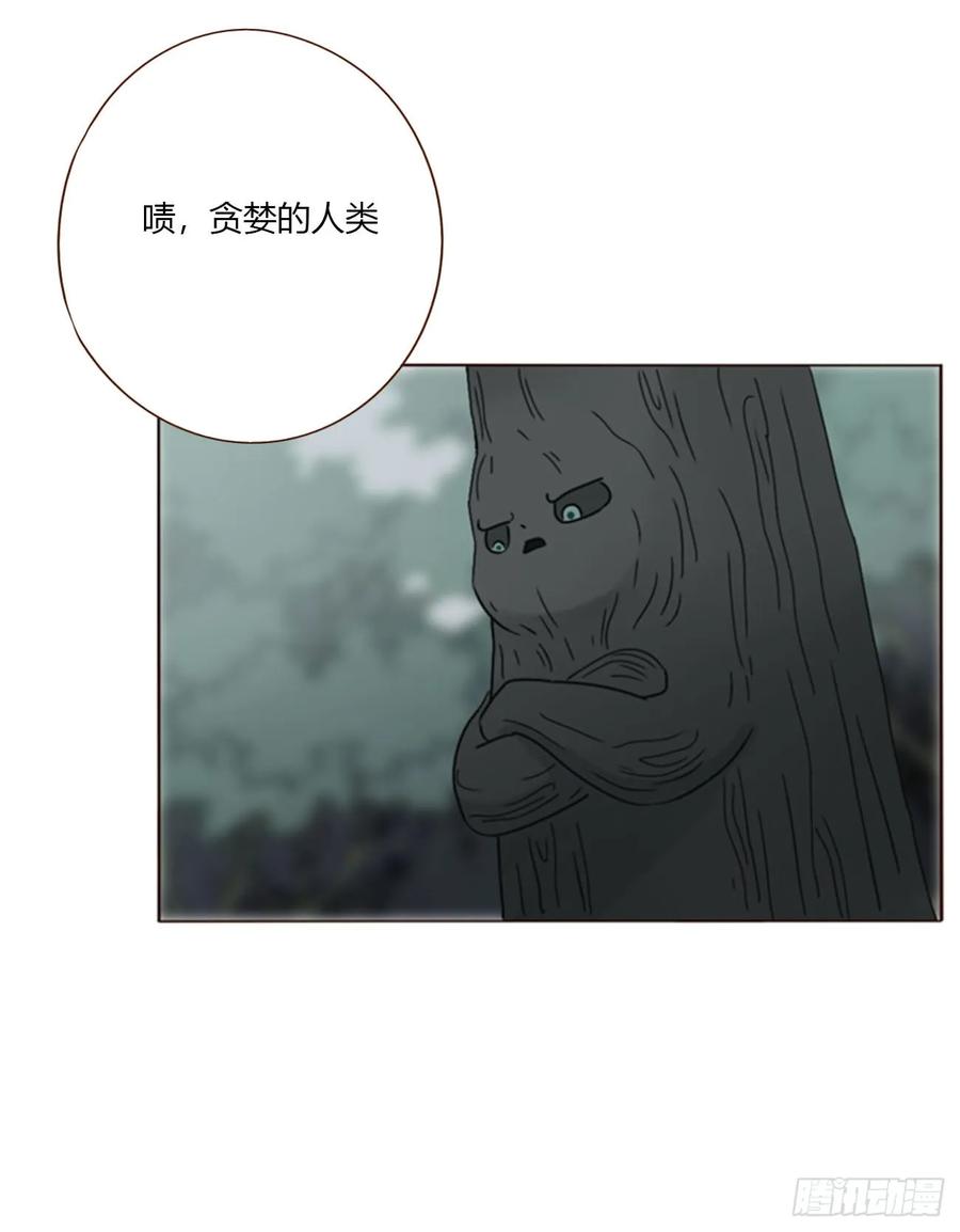 拥然入怀 一八五章 雷击木 第29页