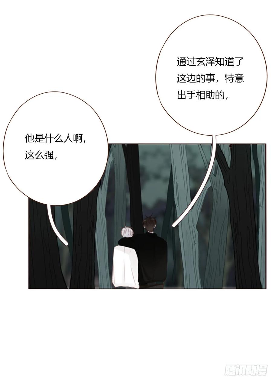 拥然入怀 一八五章 雷击木 第21页
