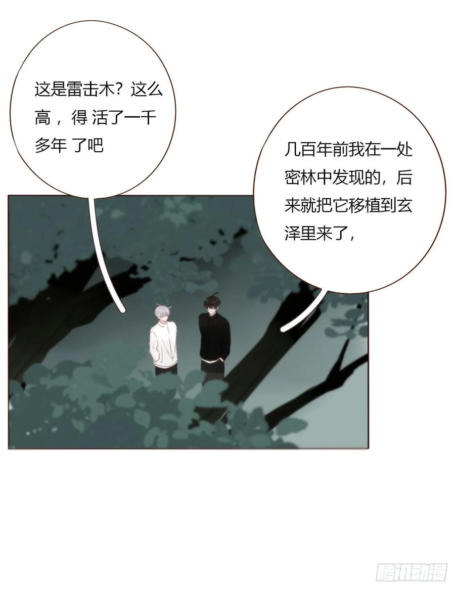 拥然入怀 一八五章 雷击木 第24页