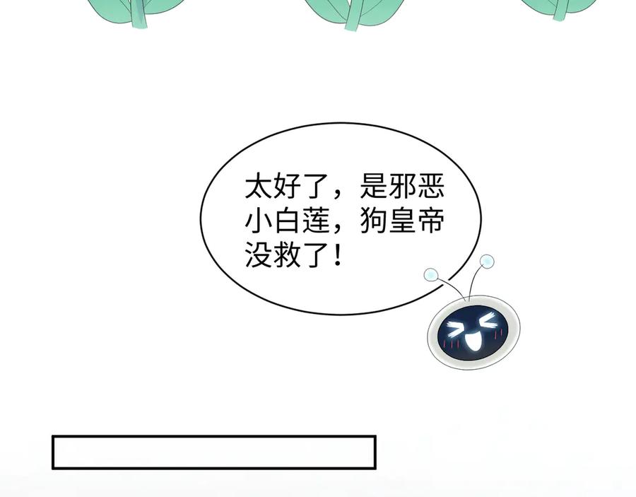 【快穿】绝美白莲在线教学 393 第84页