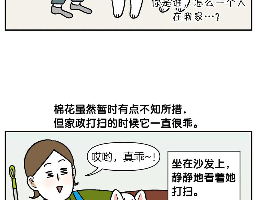 《我的狗子叫棉花》第58话 家政服务 第41页