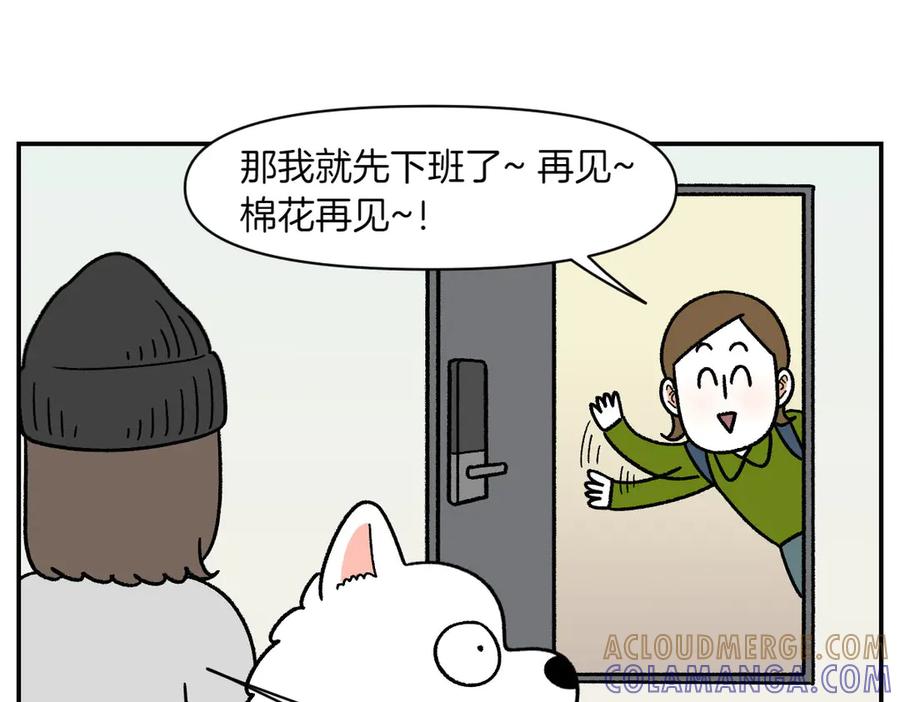 《我的狗子叫棉花》第58话 家政服务 第43页