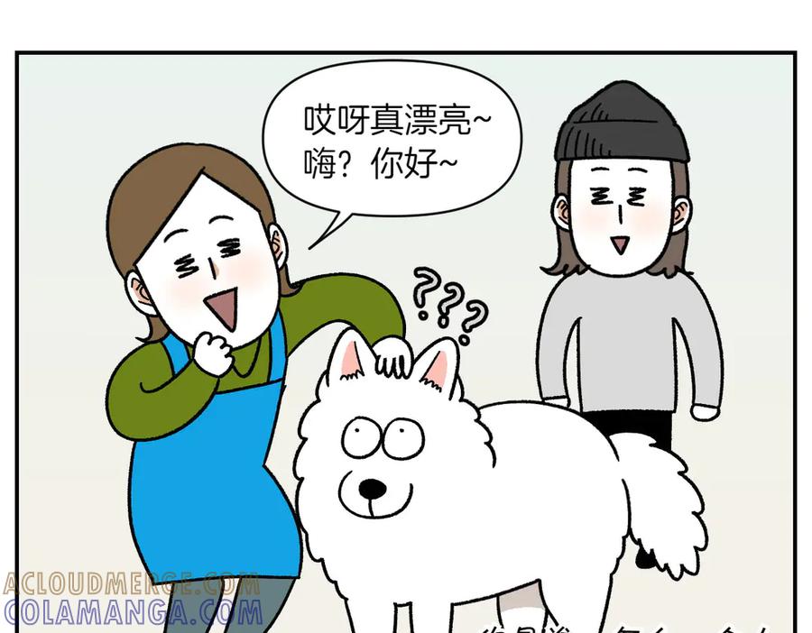 《我的狗子叫棉花》第58话 家政服务 第40页