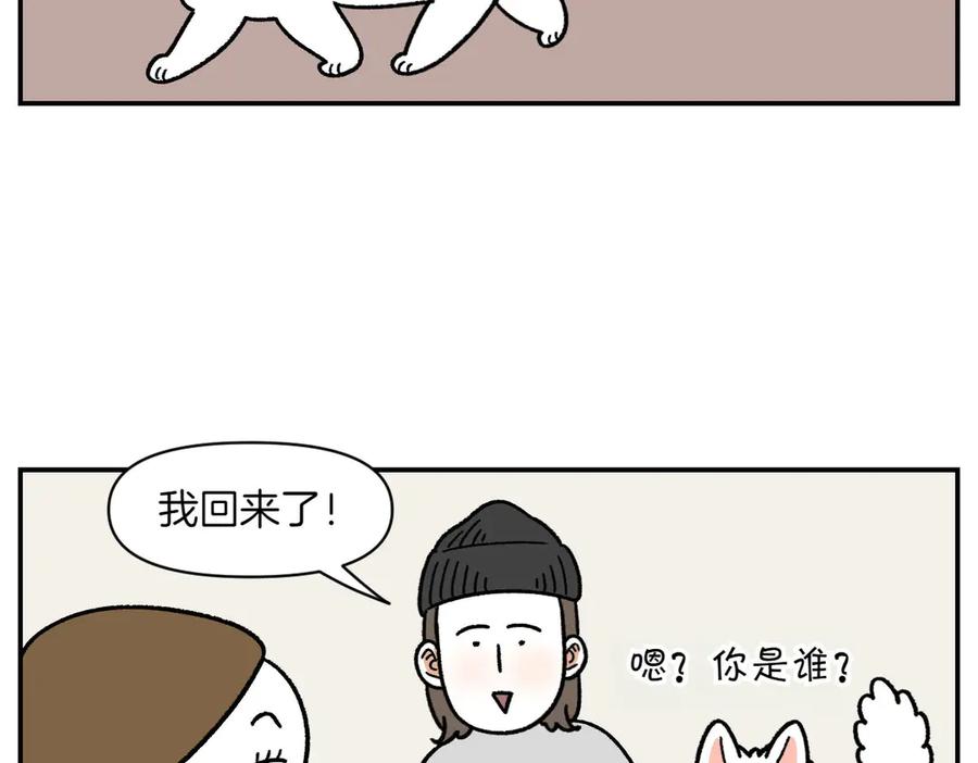 《我的狗子叫棉花》第58话 家政服务 第38页