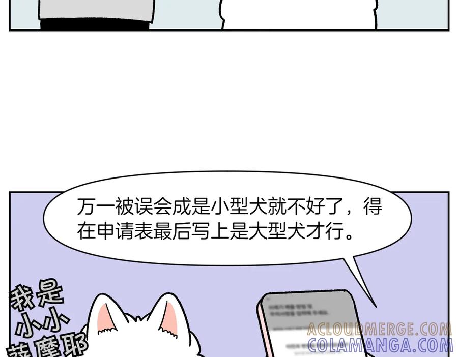 《我的狗子叫棉花》第58话 家政服务 第13页